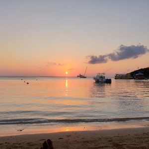 Meet your Posher, Dan